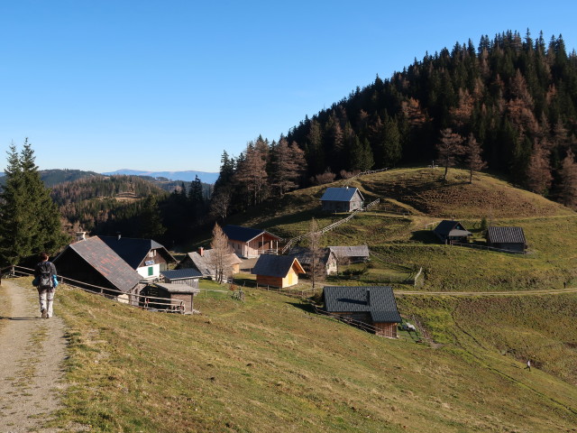 Carmen auf der Rauschalm, 1.393 m