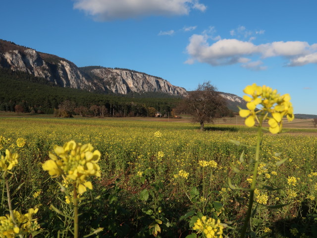 Hohe Wand von der Neuen Welt aus