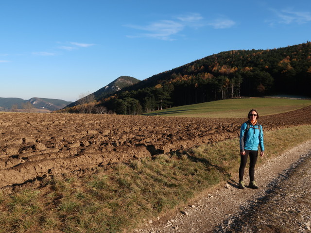Carmen zwischen Zweiersdorf und Unterh&ouml;flein