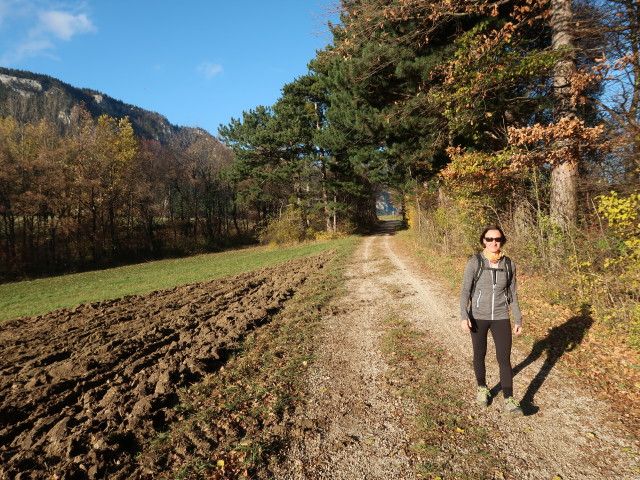 Carmen zwischen Zweiersdorf und Unterh&ouml;flein