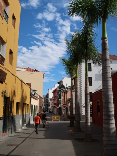 Calle Mequinez in Puerto de la Cruz (23. Nov.)