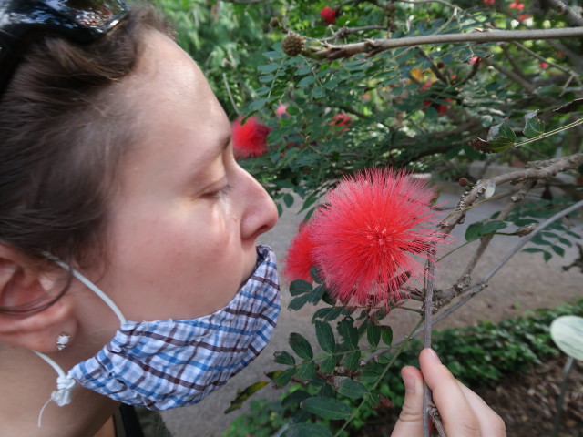 Sabine im Jard&iacute;n Bot&aacute;nico in Puerto de la Cruz (23. Nov.)