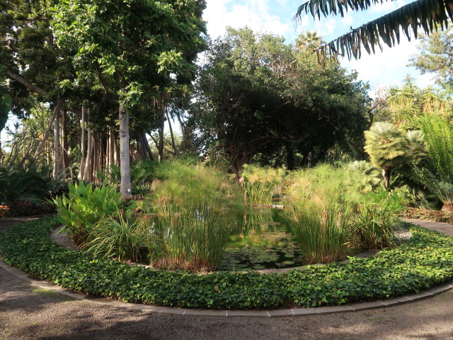 Jard&iacute;n Bot&aacute;nico in Puerto de la Cruz (23. Nov.)