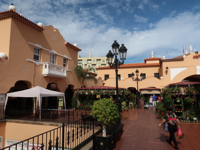 Mercado de Nuestra Senora de &Aacute;frica in Santa Cruz (24. Nov.)