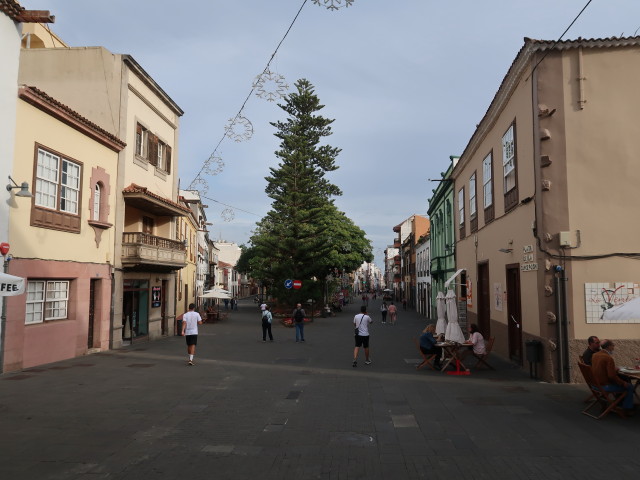 Plaza de La Concepci&oacute;n de San Crist&oacute;bal de La Laguna (24. Nov.)
