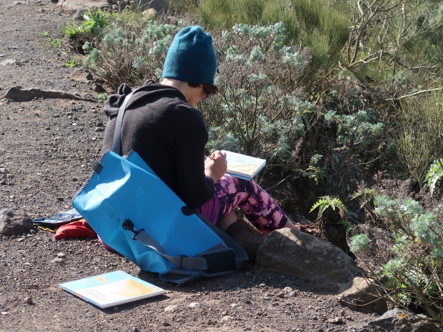 Mirador Altos de Barac&aacute;n (25. Nov.)