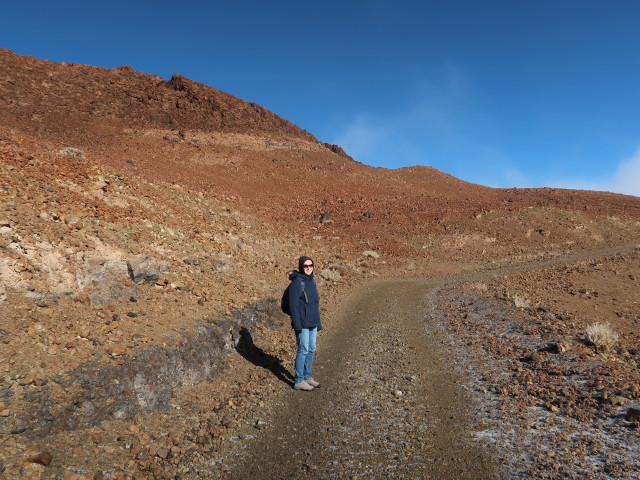 Sabine im Parque Nacional del Teide (27. Nov.)