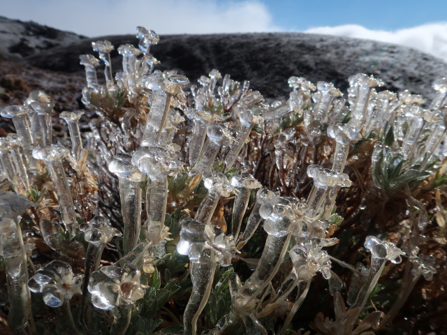 Parque Nacional del Teide (27. Nov.)
