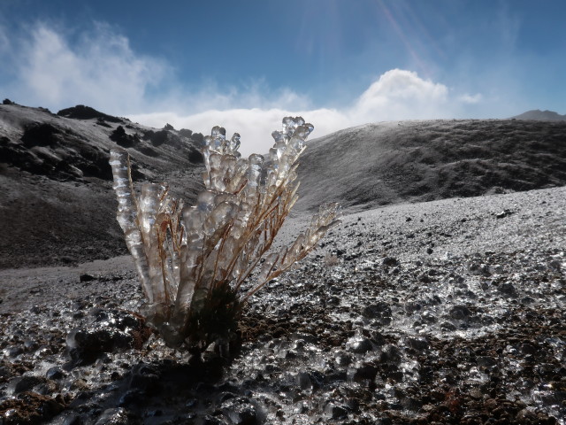 Parque Nacional del Teide (27. Nov.)