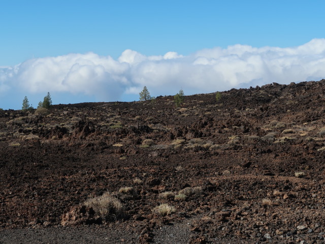 Parque Nacional del Teide (27. Nov.)