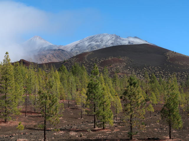 Parque Nacional del Teide (27. Nov.)