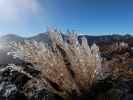 Parque Nacional del Teide (27. Nov.)