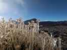 Parque Nacional del Teide (27. Nov.)