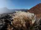 Parque Nacional del Teide (27. Nov.)