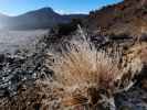 Parque Nacional del Teide (27. Nov.)