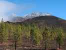 Parque Nacional del Teide (27. Nov.)