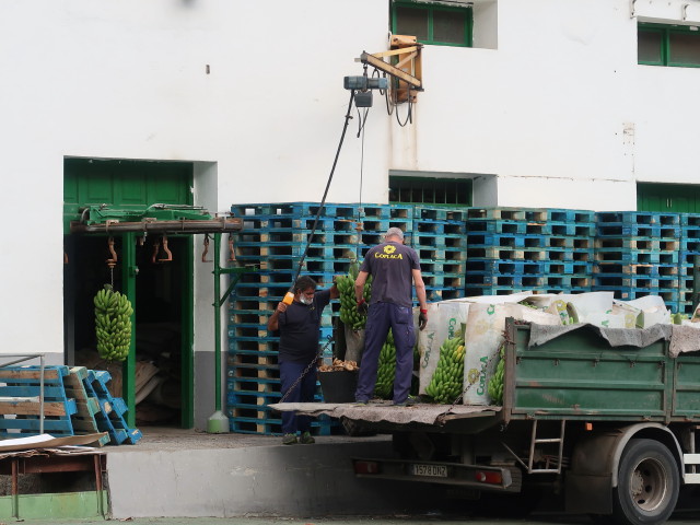 Cooperativa Agrícola Insular Gomera in Hermigua