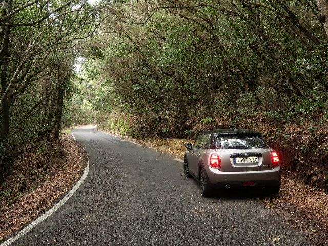 Parque Nacional de Garajonay