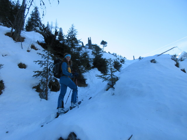 Romana zwischen Bergerhube und Kettentalalm