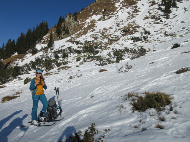 Romana zwischen Kettentalalm und Kettentalkogel