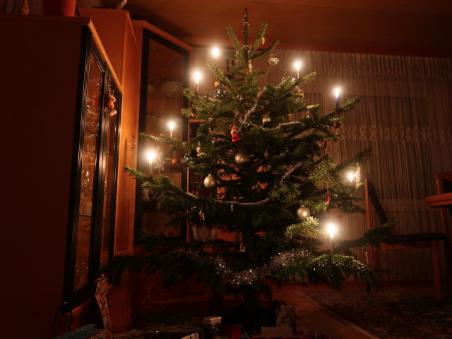 Weihnachtsbaum (24. Dez.)