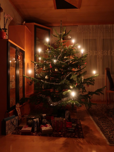 Weihnachtsbaum (24. Dez.)