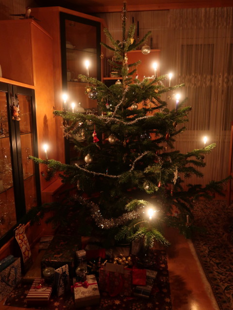 Weihnachtsbaum (24. Dez.)