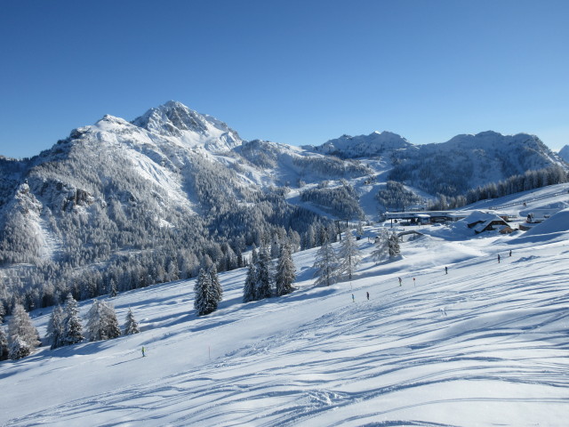 Tressdorfer-Alm-Abfahrt