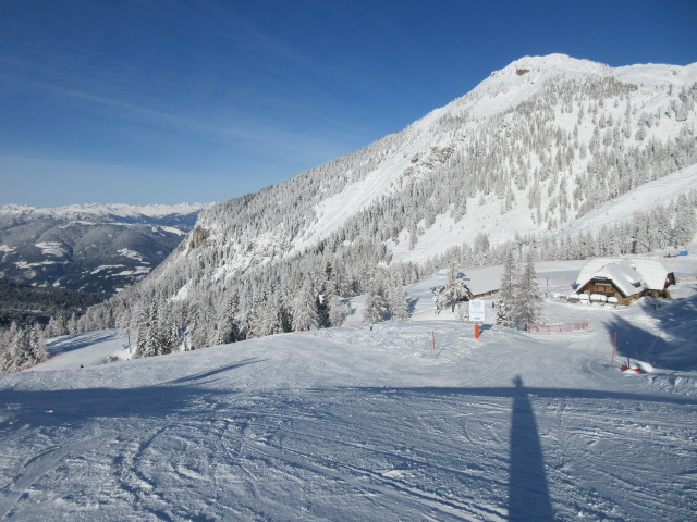 Watschiger-Alm-Abfahrt