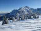 neben der Tressdorfer-Alm-Abfahrt