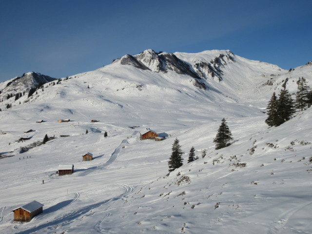 Oberdamülser Alpe