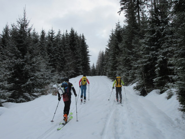 Arno, Stefanie und Eric zwischen Steingraben und Grubbichlwald