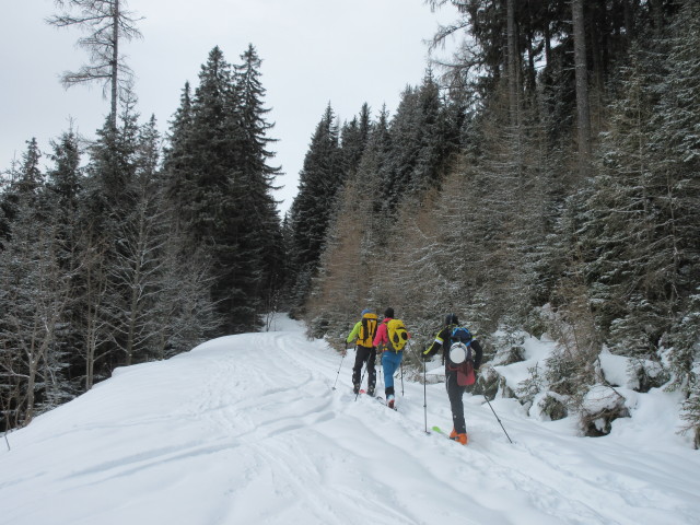 Erich, Stefanie und Arno zwischen Steingraben und Grubbichlwald