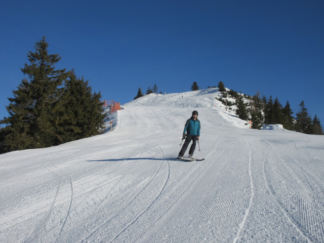 Ronald auf der Panorama-Abfahrt