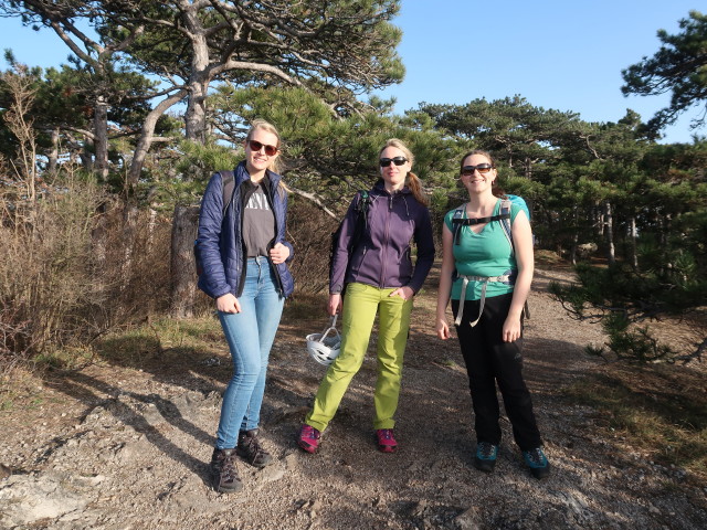 Elisabeth, Janna und Sabine zwischen Frauensteinberg und Mödling