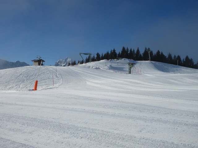 Taubenkogel