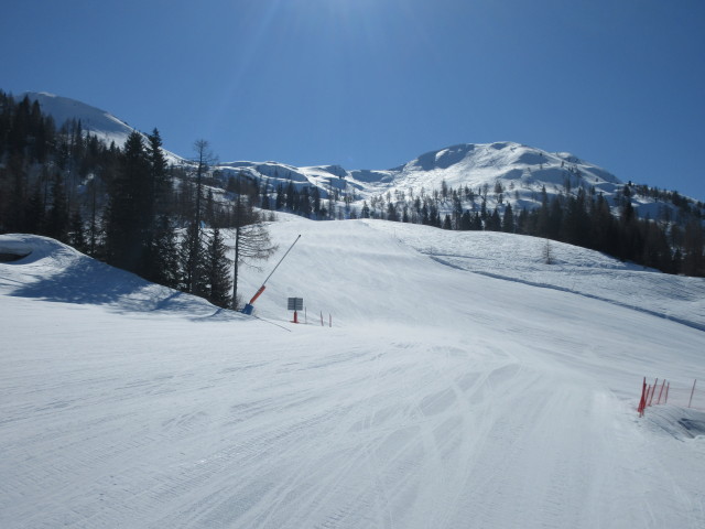 Watschiger-Alm-Abfahrt