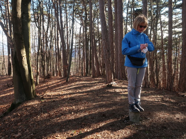 Mama am Kühberg, 578 m