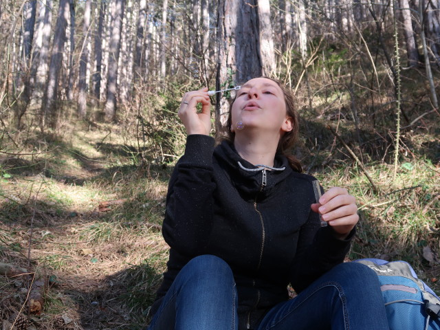 Sabine zwischen Kühberg und Weissenbach an der Triesting