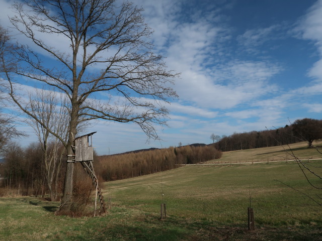 zwischen Rekawinkel und Kaiserbrunnberg