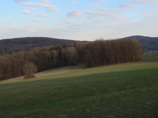 zwischen Pfalzberg und Pressbaum