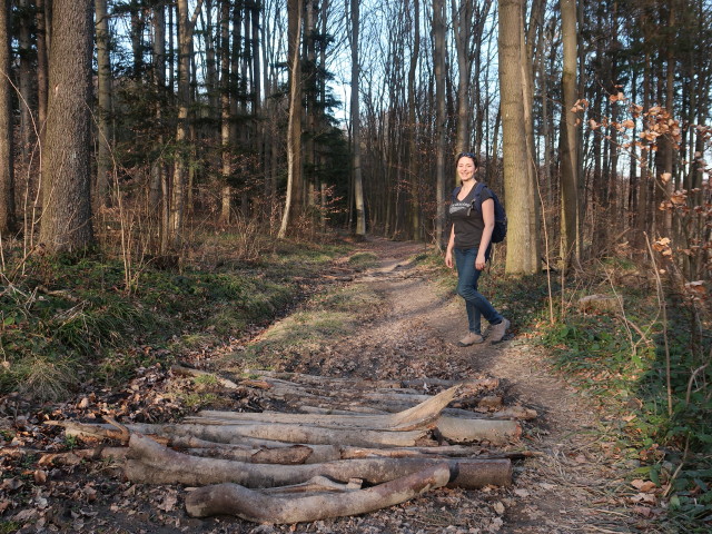 Sabine zwischen Pfalzberg und Pressbaum