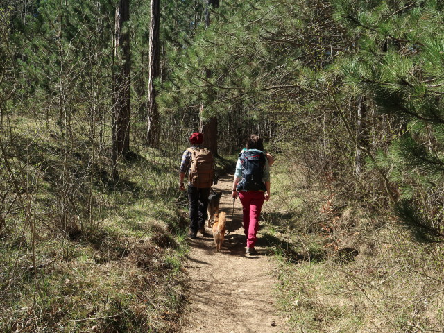 Manuel und Hannelore zwischen Berndorf und H&ouml;henberg