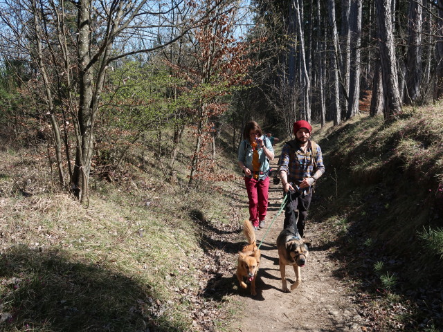 Hannelore, Sabine und Manuel zwischen Berndorf und H&ouml;henberg