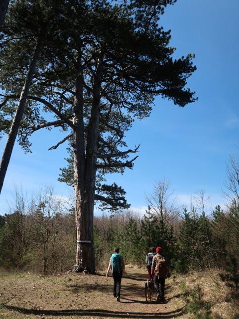 Sabine, Hannelore und Manuel zwischen Berndorf und H&ouml;henberg