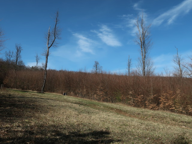 zwischen Berndorf und H&ouml;henberg
