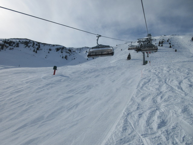 Griesalmabfahrt von Steinbergkogelbahn aus