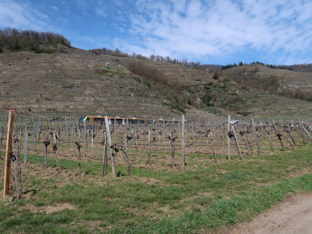 zwischen Wei&szlig;enkirchen und D&uuml;rnstein