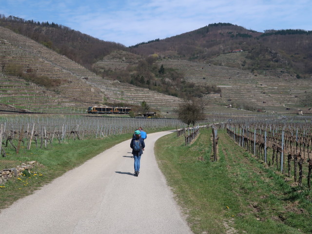 Sabine und J&ouml;rg zwischen Wei&szlig;enkirchen und D&uuml;rnstein