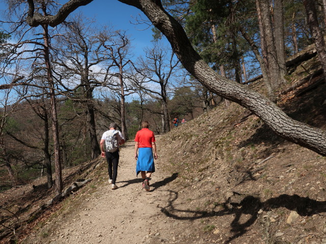 Erich und J&ouml;rg zwischen Burgruine D&uuml;rnstein und Fesslh&uuml;tte